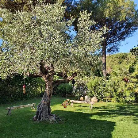 Casa Dell'ulivo *