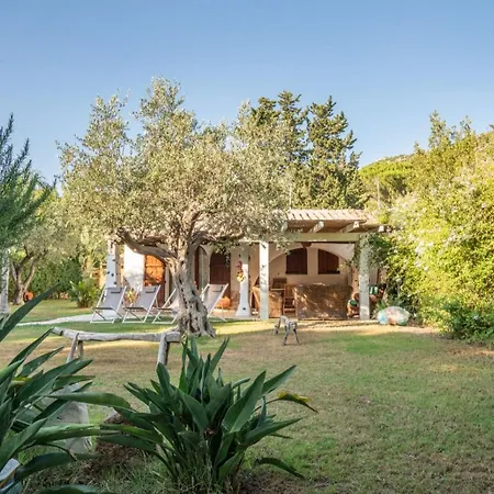 Casa Dell'ulivo Hébergement de vacances