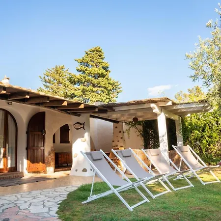 Casa Dell'ulivo * Torre delle Stelle